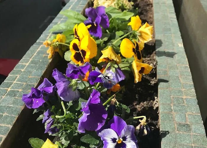 Casa Da 25 Apartment Espinho (Aveiro)