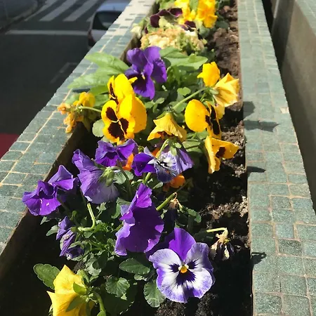 Casa Da 25 Appartement Espinho (Aveiro)